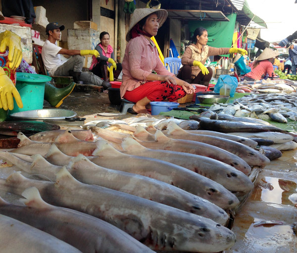 20160202152156-8-phuquoc.JPG